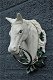 Paardenhoofd met ring, gietijzer , wit , paard , deco , tuin - 0 - Thumbnail