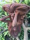 Prachtig wandornament vrouw-jugendstil-art deco-plant - 4 - Thumbnail