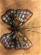 Prachtige cast iron wandvlinder in kleur divers , vlinder - 3 - Thumbnail