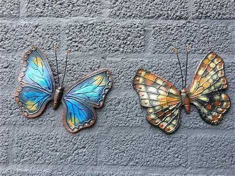 Prachtige cast iron wandvlinder in kleur divers , vlinder - 5
