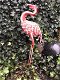 Prachtige grote forse metalen flamingo , flamingo , vogel - 1 - Thumbnail