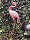 Prachtige grote forse metalen flamingo , flamingo , vogel - 3 - Thumbnail