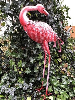 Prachtige grote metalen flamingo , fascinerend, tuindeco - 3