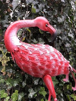 Prachtige grote metalen flamingo , fascinerend, tuindeco - 4
