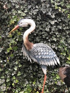 Prachtige grote forse metalen reiger , fascinerend , reiger