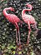 Prachtige set grote forse metalen flamingo , vogel , vijver - 0 - Thumbnail