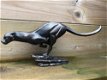 Puma in renstand, beeldhouwkunst-beeld , puma , deco - 1 - Thumbnail