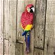 Rode papegaai, gietijzer , pappegaai , tuin , deco , kado - 1 - Thumbnail
