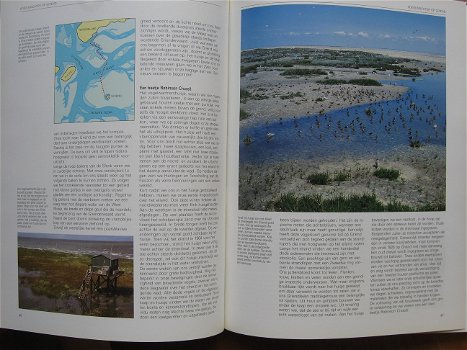 Griend, vogeleiland in de Waddenzee - 2