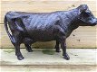 Sculptuur metalen grote koe, prachtig , koe , marmer - 0 - Thumbnail
