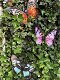 Set van 3 Vlinders, geheel metaal en vol in kleur , vlinder - 0 - Thumbnail