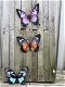 Set van 3 Vlinders, geheel metaal en vol in kleur , vlinder - 1 - Thumbnail