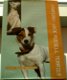 (Parson) Jack Russell terrier. Esther Verhoef-Verhallen. - 0 - Thumbnail