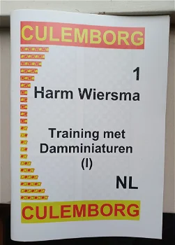 Trainen met Damminiaturen (1) - 0