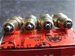 Golden Lodge 25HL Bougies Spark Plugs 60504563 - 4 - Thumbnail