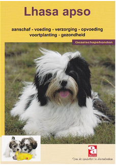 Lhasa apso