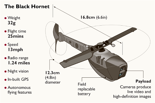 Nano Black Hornet 3 drone-replica voor veiling - 1