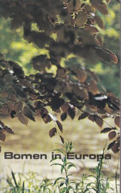 Bomen in Europa