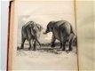 [Olifanten] Houel 1803 Histoire naturelle des deux Éléphants - 0 - Thumbnail