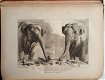 [Olifanten] Houel 1803 Histoire naturelle des deux Éléphants - 4 - Thumbnail