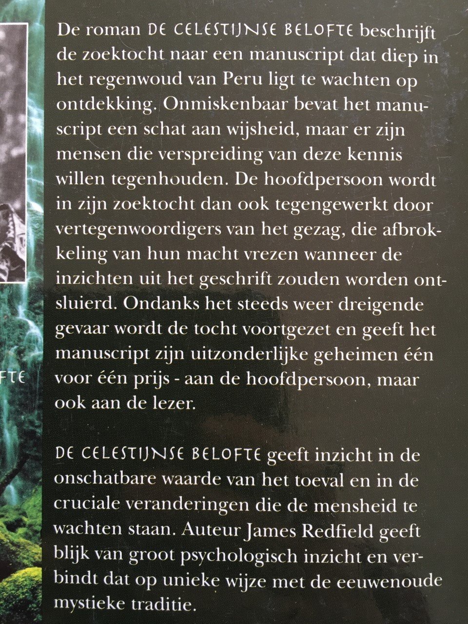 De Celestijnse belofte - James Redfield - Afbeelding 3