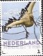 nederland 269 - 1 - Thumbnail
