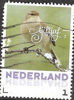 nederland 271 - 0