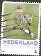 nederland 271 - 0 - Thumbnail