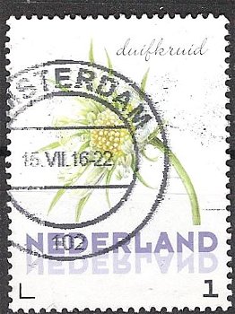 nederland 277 - 0