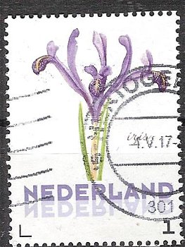 nederland 278 - 0