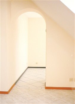 ELEN (België) Nabij Maaseik Prachtig APPARTEMENT voor SINGLE of (jong) koppel te huur - 2