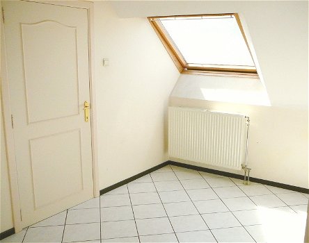 ELEN (België) Nabij Maaseik Prachtig APPARTEMENT voor SINGLE of (jong) koppel te huur - 4