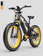 LANKELEISI RV700 16Ah 48V 1000W Electric Bicycle 26inch 42km - 0 - Thumbnail