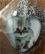 Katten in hart kettings - 5 - Thumbnail