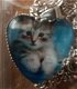 Katten in hart kettings - 6 - Thumbnail