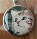 Katten in cirkel kettings - 1 - Thumbnail