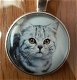 Katten in cirkel kettings - 4 - Thumbnail