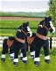 Ponycycle Zwart Paard Ux426 voor kinderen van 4 tot 9 jaar - 0 - Thumbnail