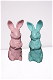 Hoogglans konijnenfiguren decoraties - 0 - Thumbnail