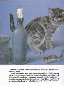 Mourek - Příběh toulavého kotěte - 2