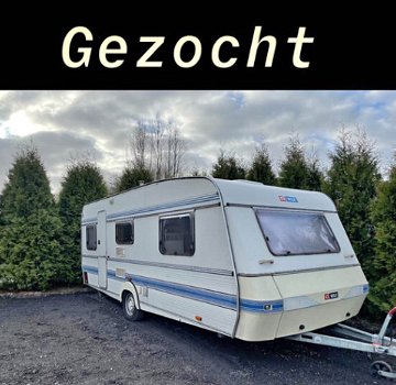 Wij zoeken Caravans van 3.50 mtr. t/m 5.00 mtr. - 0