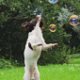 Bubble Dog Bellenblaas met pindakaassmaak - 2 - Thumbnail