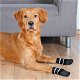 Hondensokken Anti-Slip Met Rubberlaag Rondom - 0 - Thumbnail