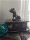 Stafford Bull Terriër beeld op urn als set of los te koop - 0 - Thumbnail