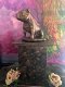 Stafford Bull Terriër beeld op urn als set of los te koop - 1 - Thumbnail