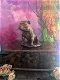 Stafford Bull Terriër beeld op urn als set of los te koop - 2 - Thumbnail
