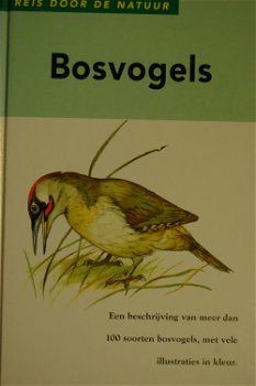 Bosvogels - 0