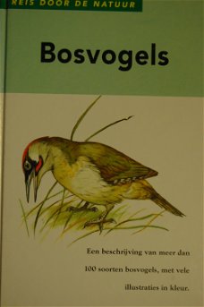 Bosvogels