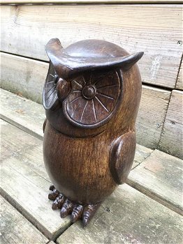 Een kleine uil gemaakt van hars, hout uiterlijk, leuk , kado - 2