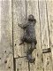 Een klimmende eekhoorn, gemaakt van gietijzer - 1 - Thumbnail